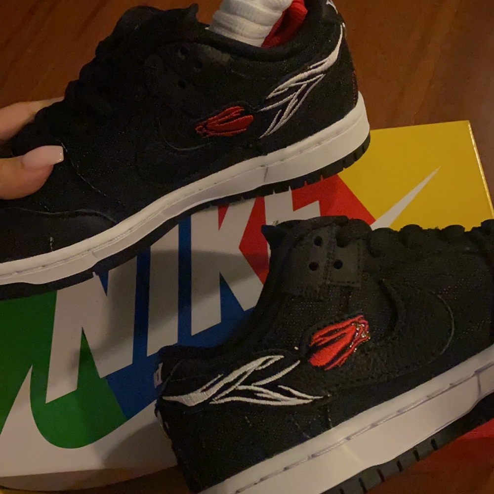 Wasted Youth x Nike SB Dunk Low PRO QS